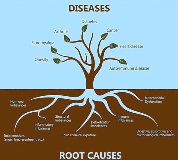 5 Lifestyle Diseases That Are Common in Indians- Root Causes Image Source: randpark.co.za