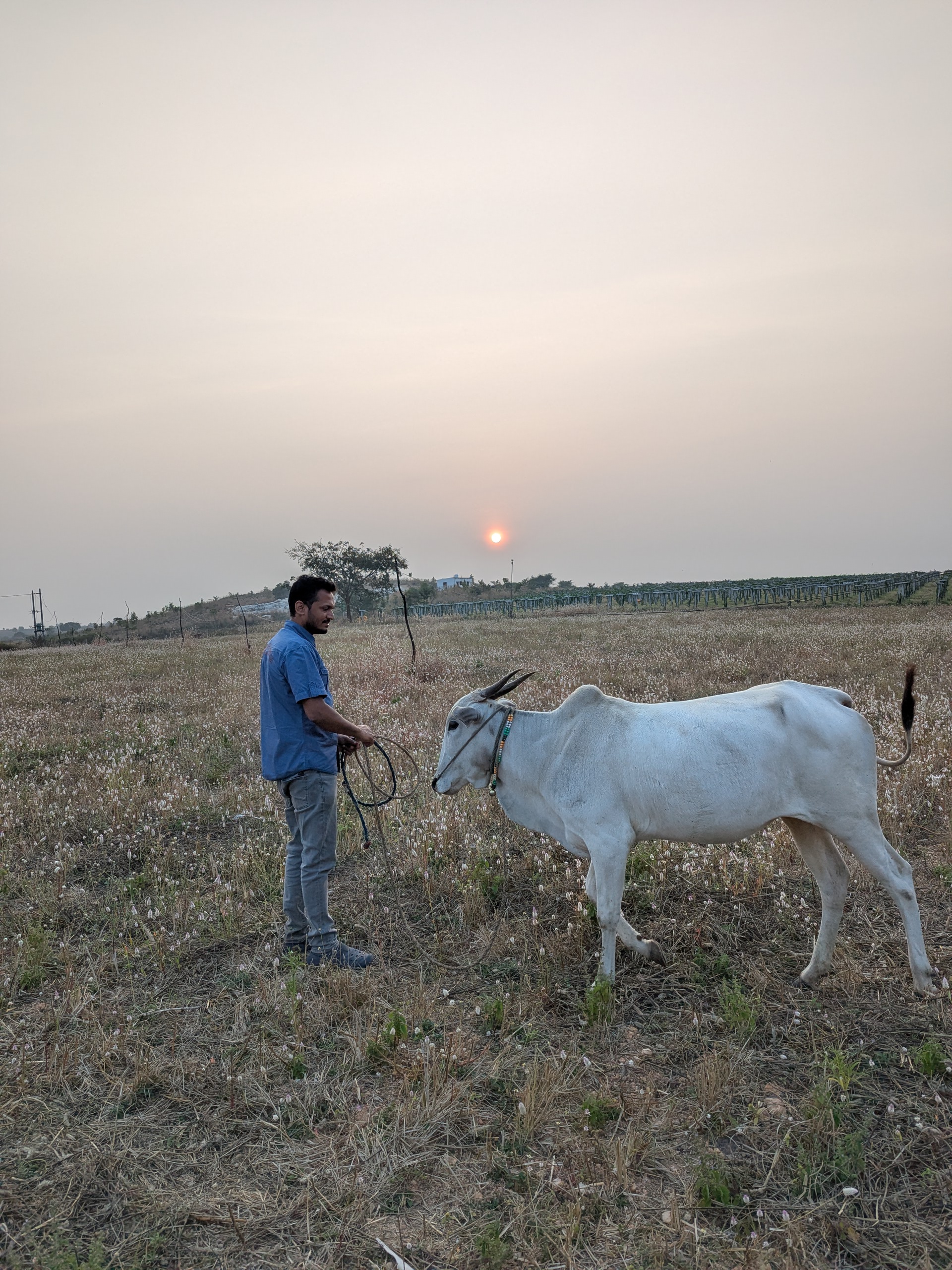 PXL_20250118_122109107